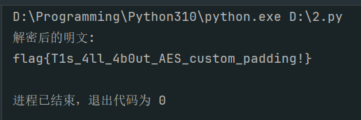 assets/2025磐石行动wp/file-20250806203921917.png