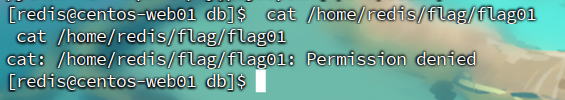 assets/Brute4Road打靶flag1-2(待完结/file-20260325190312065.png