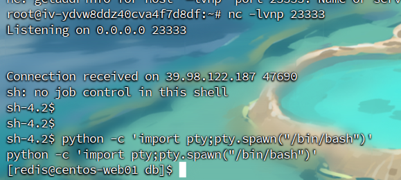 assets/Brute4Road打靶flag1-2(待完结/file-20260325185603099.png