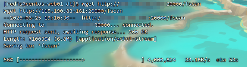 assets/Brute4Road打靶flag1-2(待完结/file-20260325191149196.png