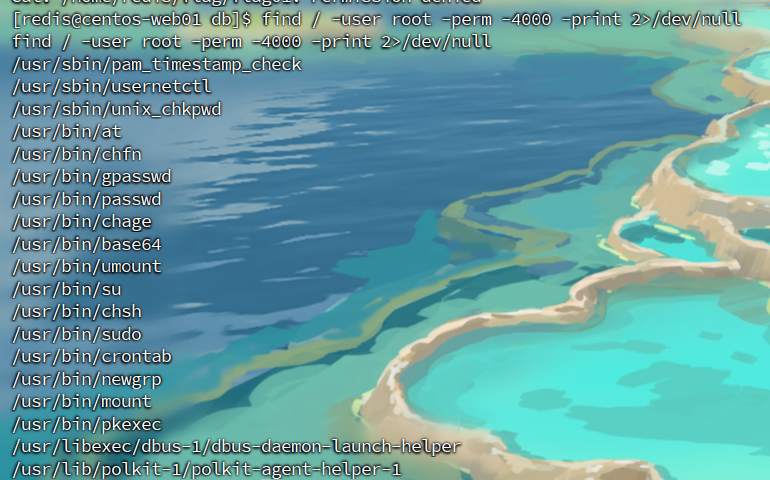 assets/Brute4Road打靶flag1-2(待完结/file-20260325190354466.png